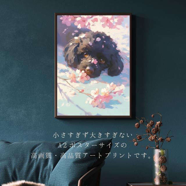 【桜犬戯舞 - 黒・ブラック・トイプードル犬 No.5】桜・花見・春・花びら・子犬・ペットロス・うちの子・記念日・アートポスター・犬の絵・犬のイラスト・ギフト・プレゼント_2