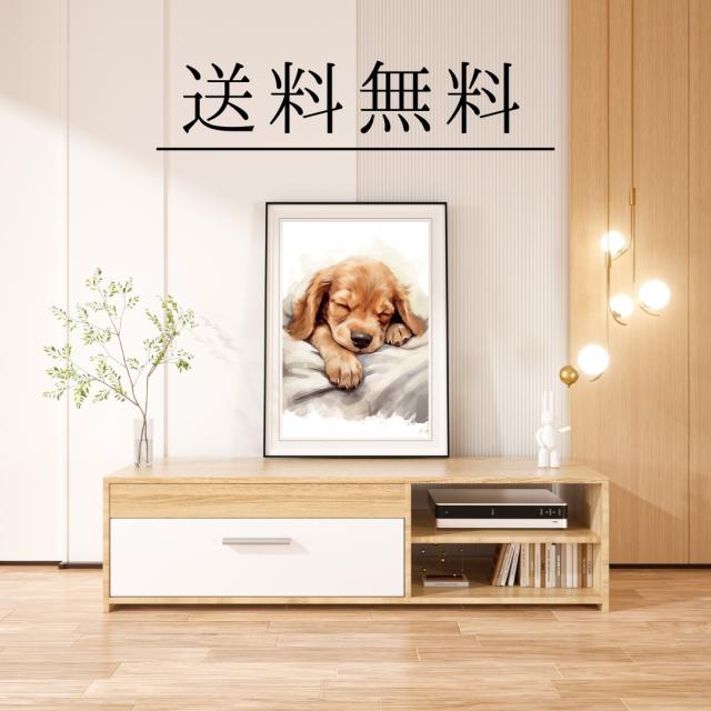 夢心地 - コッカースパニエル犬の子犬 No.1】かわいい・寝顔・癒し系