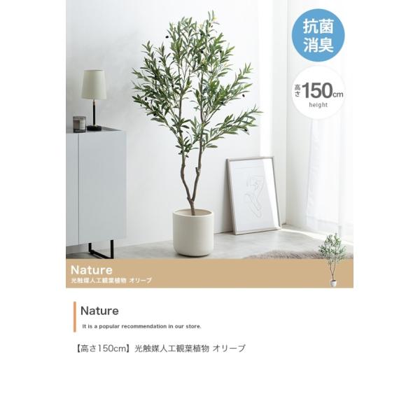 新品 大人気ホワイト JENNEコットンビッグリボンカサブランカ スタイル