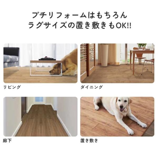 [200cm×200cm] 滑らない 洗える ペットが快適安全に暮らせるカーペット フローリングカーペット NAS ゴシゴシ洗える 犬 ねこ ネコ 防炎 制電 抗菌 送料無料_6