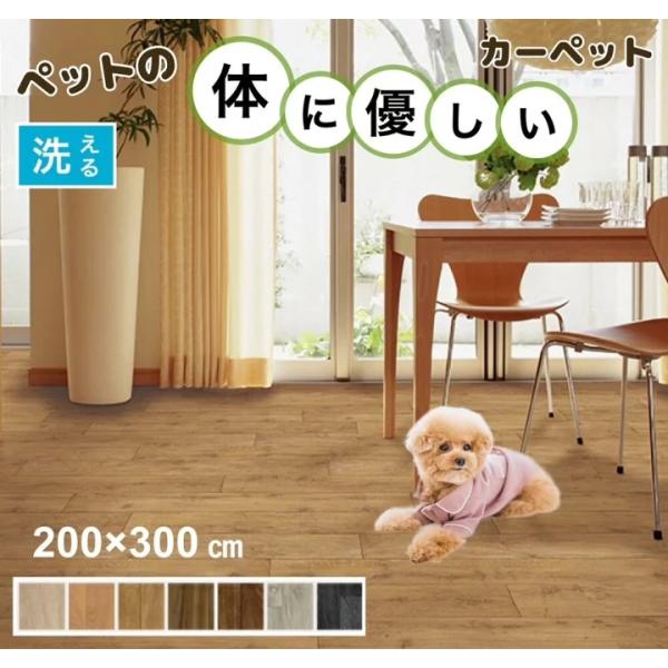 [200cm×300cm] 滑らない 洗える ペットが快適安全に暮らせるカーペット フローリングカーペット NAS ゴシゴシ洗える 犬 ねこ ネコ 防炎 制電 抗菌 送料無料