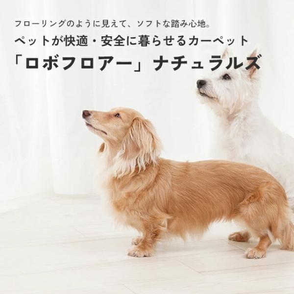 [200cm×650cm] 滑らない 洗える ペットが快適安全に暮らせるカーペット フローリングカーペット NAS ゴシゴシ洗える 犬 ねこ ネコ 防炎 制電 抗菌 送料無料_1