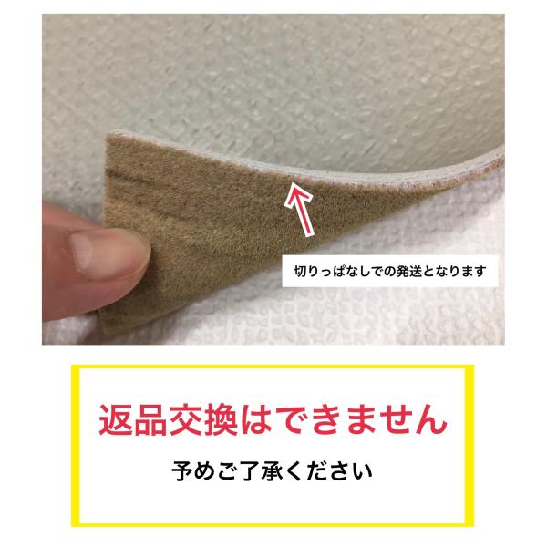 [200cm×650cm] 滑らない 洗える ペットが快適安全に暮らせるカーペット フローリングカーペット NAS ゴシゴシ洗える 犬 ねこ ネコ 防炎 制電 抗菌 送料無料_13