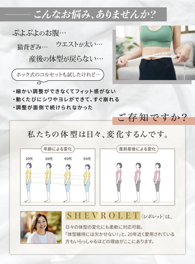 引っ張るだけでくびれ 着脱簡単コルセット 楽々スタイルアップ LL-C1 ウエストニッパー ダイエット コルセット くびれ 体型カバー ウエスト 引き締め 姿勢矯正 インナー 肋骨矯正 フィジーク ジッパー ファスナー 下っ腹 痩せ おさえる_2