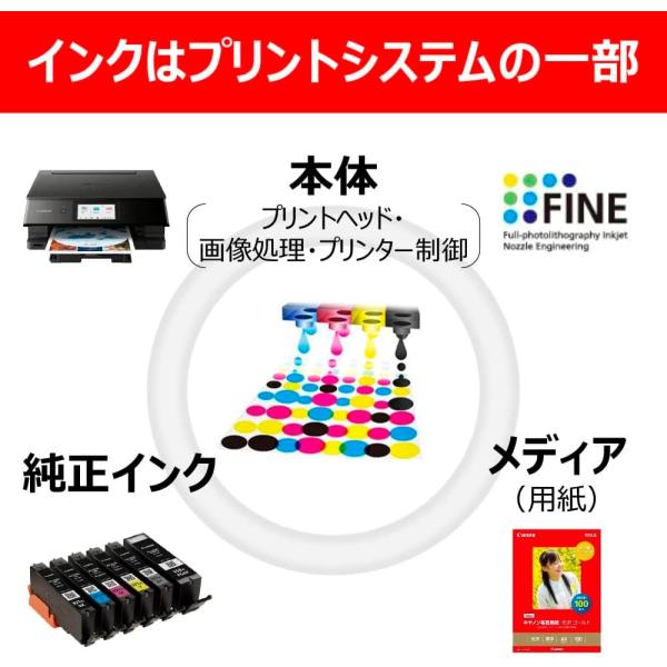 Canon PIXUS PRO-10 一部インクセット BC-365XL×2個 BC-366XL×