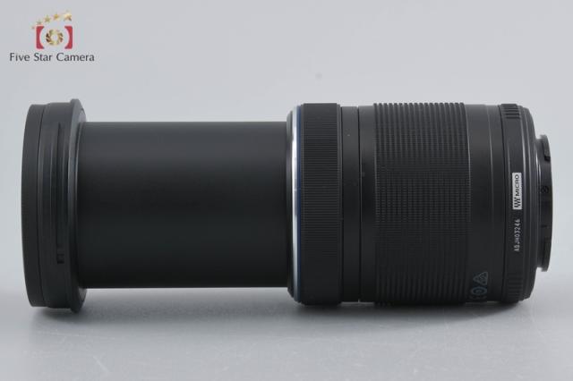 92380026_9