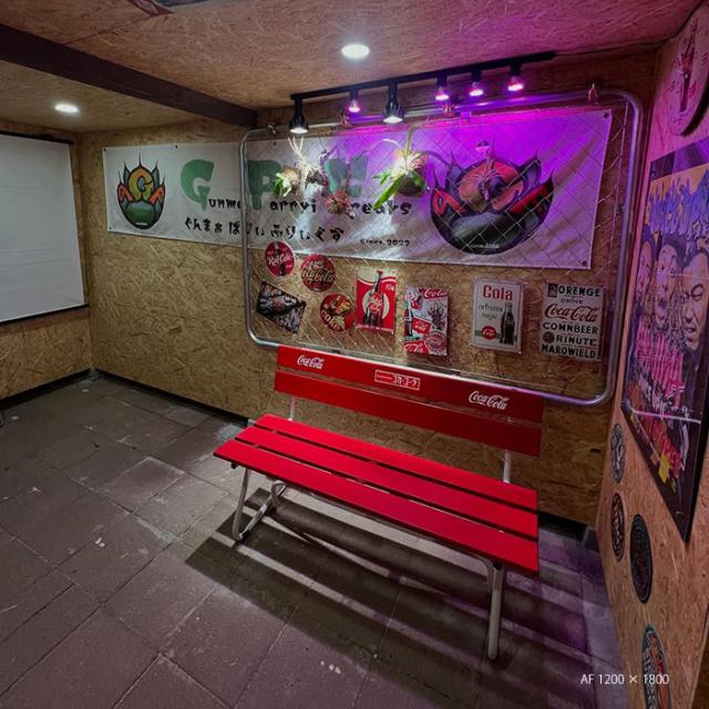 【公式】アメリカンフェンス シルバー 900 ×1200 単品 フェンスのみ ドッグラン ガーデンフェンス 屋外 メタルフェンス 金網 スチールフェンス 仕切り 柵 外用フェンス 庭 ガレージ 倉庫 インテリア 店舗 おしゃれ DIY af-1200_1