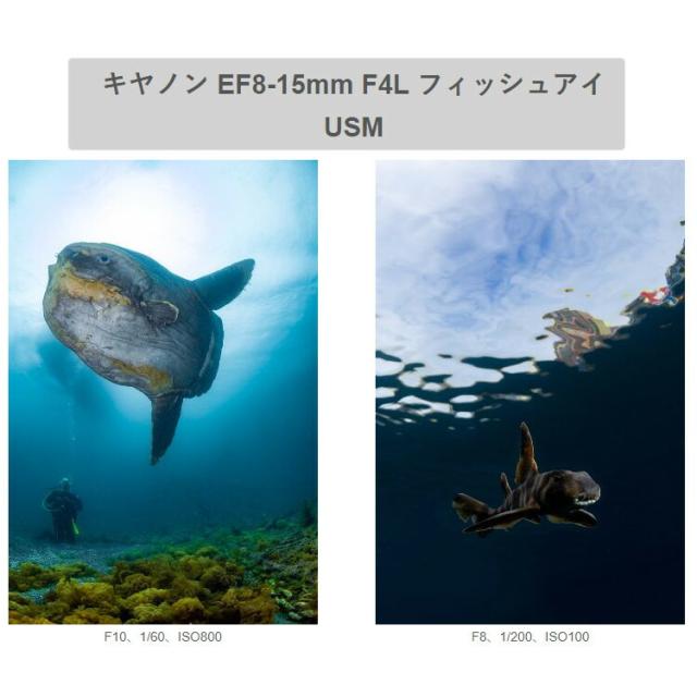 [ INON ] X-2 R6 Mark II canon EOS R6 Mark II 用 ハウジング キヤノン ミラーレスカメラ キャノン_1