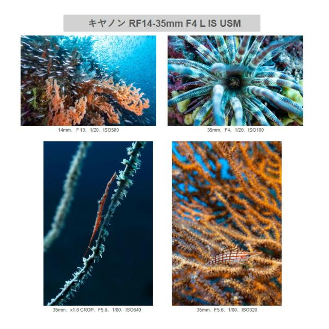 [ INON ] X-2 R6 Mark II canon EOS R6 Mark II 用 ハウジング キヤノン ミラーレスカメラ キャノン_2