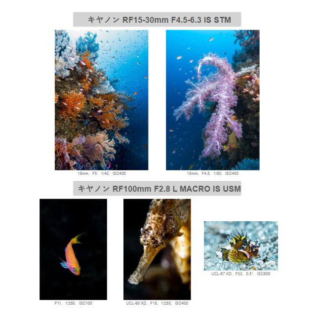 [ INON ] X-2 R6 Mark II canon EOS R6 Mark II 用 ハウジング キヤノン ミラーレスカメラ キャノン_3
