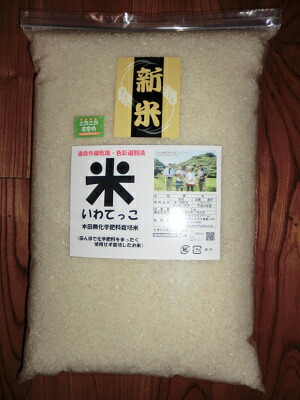 【発送中】精米10ｋｇ×1袋★送料無料（沖縄除く）★【岩手県二戸市産・御礼・贈り物・ご家庭用・品種-いわてっこ】いわてひろファーム関口農園のこだわり米【田んぼで化学肥料ゼロ栽培のお米】遠赤外線乾燥・色彩選別済
