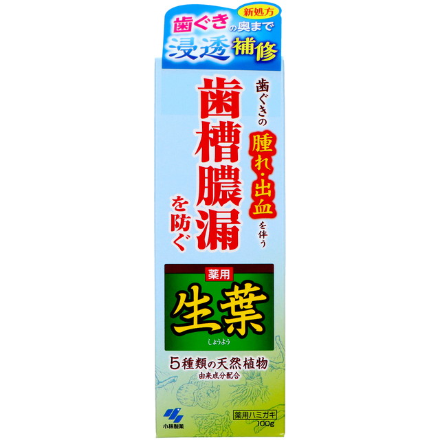 【送料込・まとめ買い×10個セット】小林製薬 薬用 生葉 しょうよう b 100g 歯磨き粉
