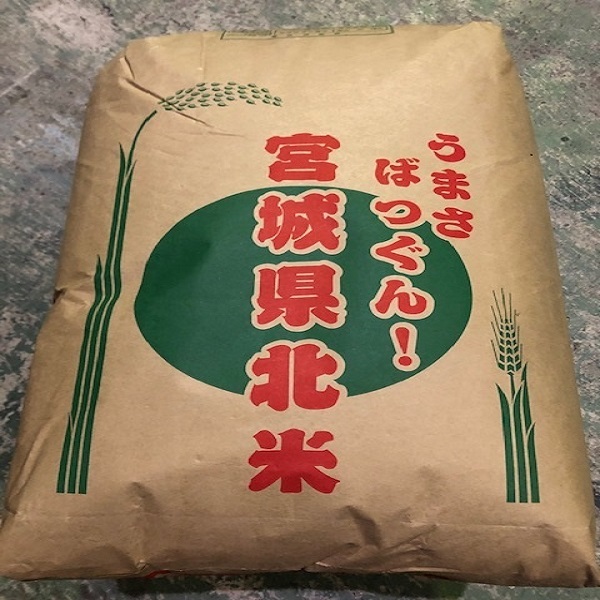 米 玄米 だて正夢 玄米 ３０Ｋｇ 令和７年度 宮城県北産