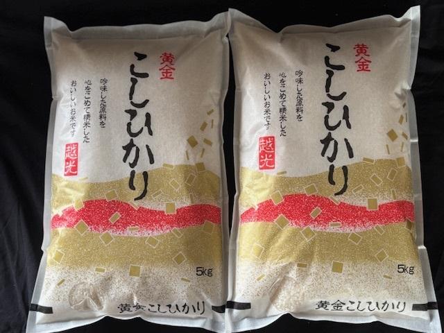 米 こしひかり 精白米１０ｋｇ（5kg×2袋） 令和７年度宮城県産