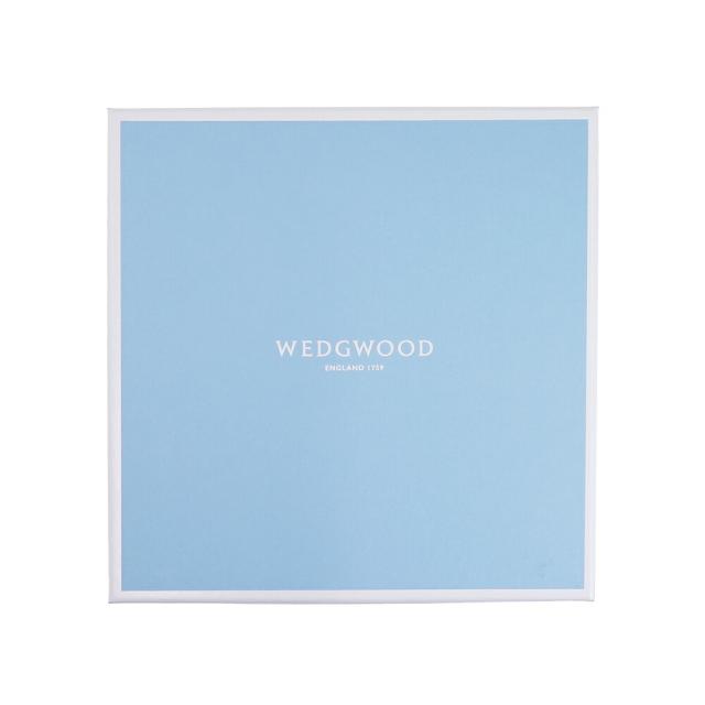 ウェッジウッド (WEDGWOOD) フロレンティーンマリン プレート 20cm