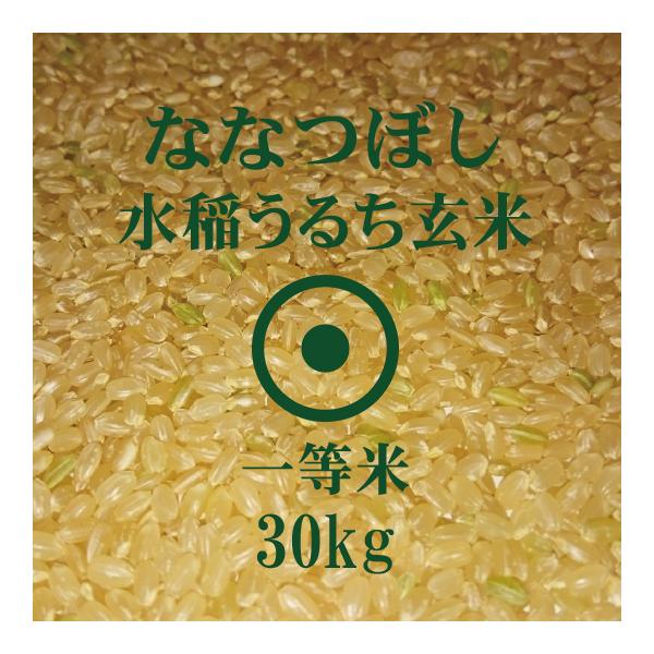北海道産米 ななつぼし 玄米 30kg 令和7年産 一等米 特A米