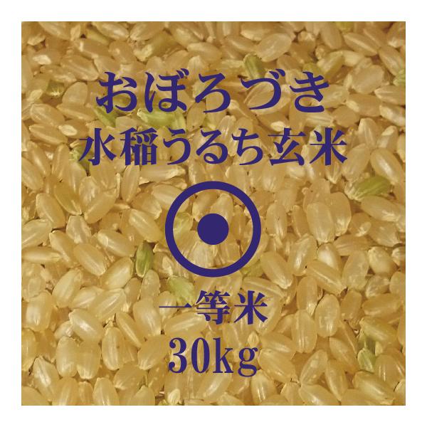 北海道産米 ろづき 玄米 30kg 令和7年産 一等米 低アミロース品種 送料無料