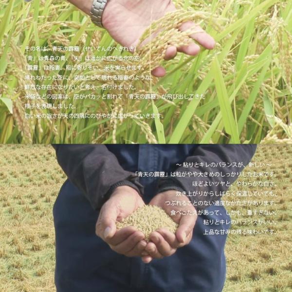 青天の霹靂 10kg (5kg×2袋) 令和7年産 白米 10kg 青森県産【真空パック対応】米 10kg お米 10kg 白米 送料無料_3