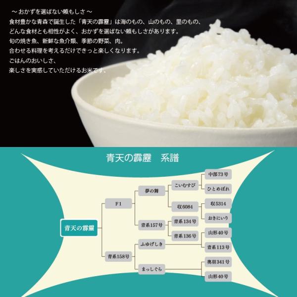青天の霹靂 10kg (5kg×2袋) 令和7年産 白米 10kg 青森県産【真空パック対応】米 10kg お米 10kg 白米 送料無料_4