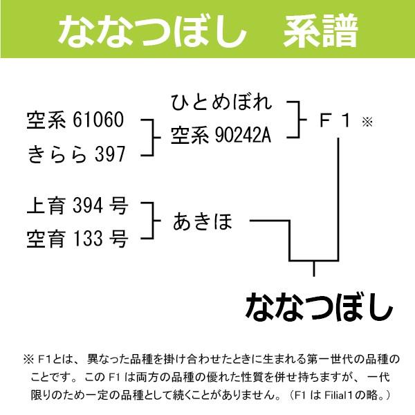 令和7年産 北海道産（当麻産）お米 10kg ななつぼし (5kg詰×2袋) 送料無料 白米 10kg 米 10kg 真空パック対応【せーる】_2