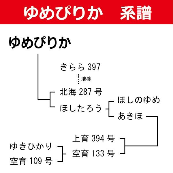 北海道産 ゆめぴりか 白米（ブランド協議会認証マーク付き）20kg（5kg×4袋）令和7年産 真空パック対応 米　お米 精米_2