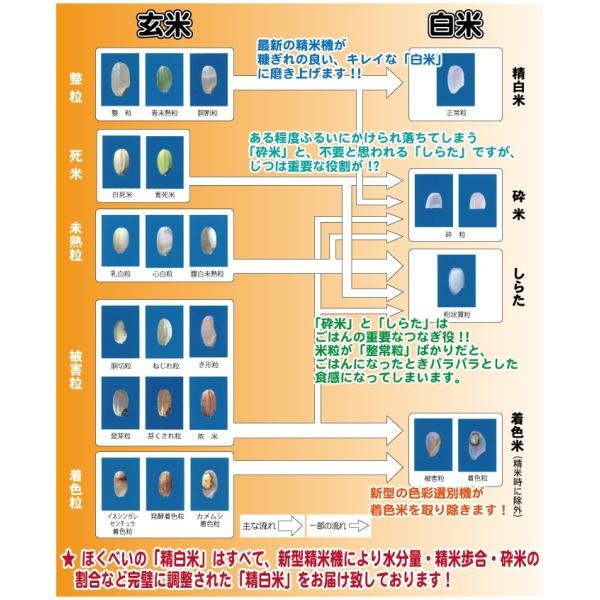 北海道産 ゆめぴりか 白米（ブランド協議会認証マーク付き）20kg（5kg×4袋）令和7年産 真空パック対応 米　お米 精米_9