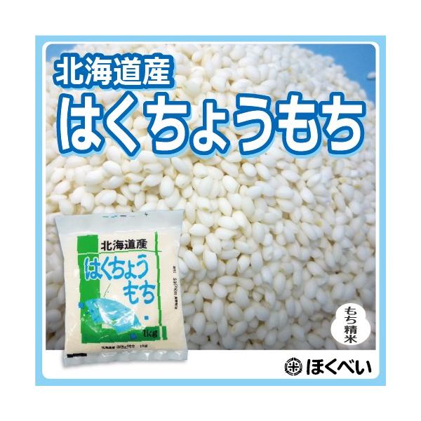 モチ米 令和7年産　はくちょうもち（1kg×10袋）10kg　北海道産 もち米 10キロ 糯米 送料無料 餅米