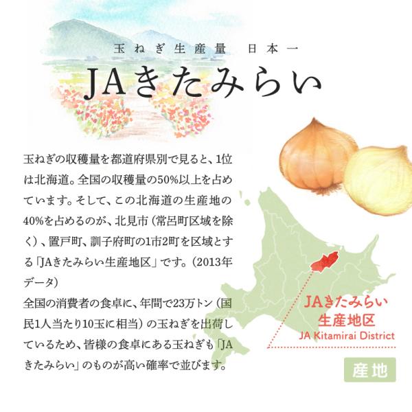芳醇 玉葱醤油　200mlPET×24本　彩さん量日本一のJAきたみらい産たまねぎ使用_2