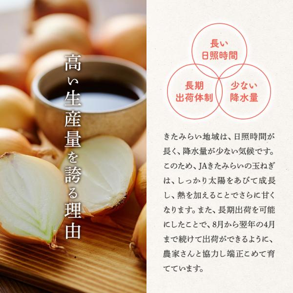 芳醇 玉葱醤油　200mlPET×24本　彩さん量日本一のJAきたみらい産たまねぎ使用_3