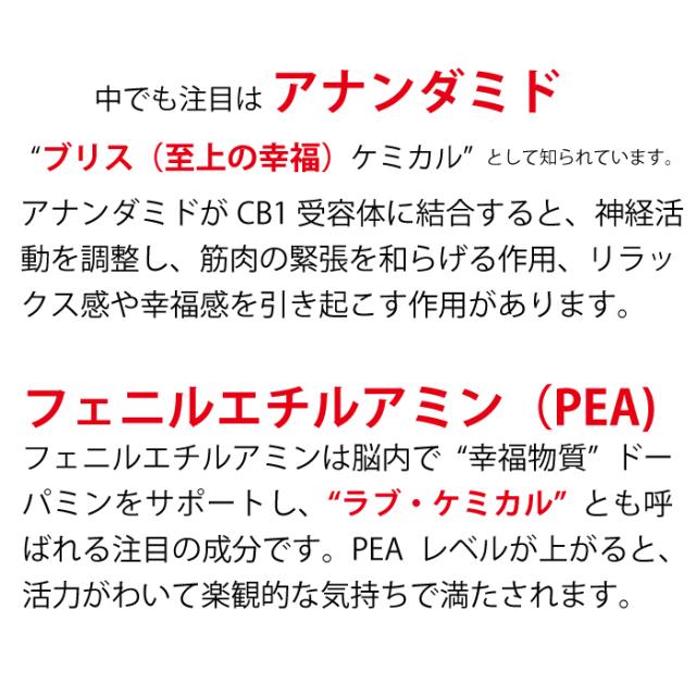 【スリミングクリーム】 エクストラシボレス 260g マッサージ＆ボディケア 引き締め・保湿・ボディメイクに お腹・二の腕・脚の引き締め ピンクペッパースリム・高麗人参エキス配合 敏感肌 乾燥肌 ウェストケア ビセキ_4