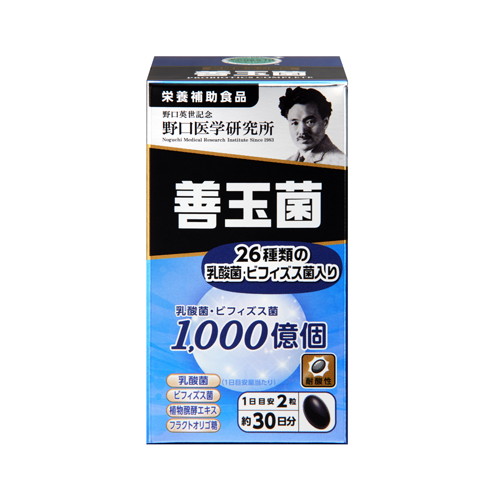 ◆6個セット/善玉菌 60錠[野口医学研究所]