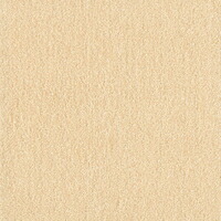【1ケース】【お取り寄せ対象品】ウィズペットフロア WPF02(40×40cm) クリーム[東リ] *10個
