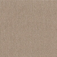 【1ケース】【お取り寄せ対象品】ウィズペットフロア WPF03(40×40cm) モカ[東リ] *10個