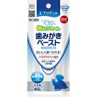 【1ケース】【お取り寄せ対象品】エブリデント 歯みがきペースト ミルクミント風味(40g) *24個