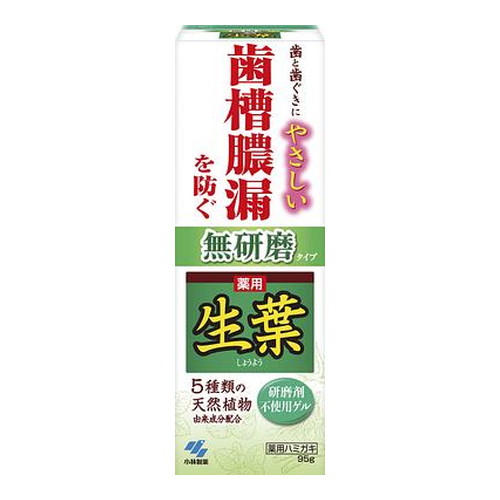 ◆10個セット/【お取り寄せ対象品】小林製薬  薬用 生葉 無研磨タイプ 95g