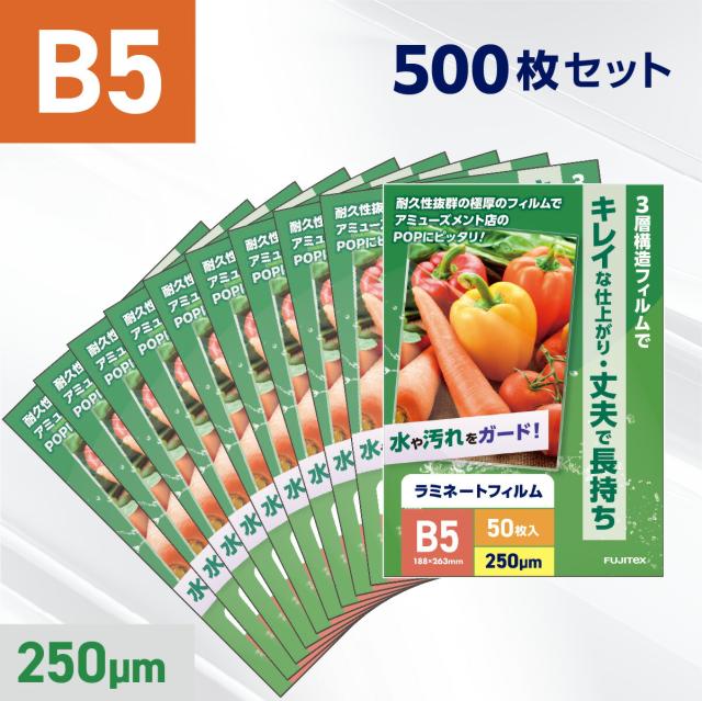 B5サイズ（250ミクロン）【業務用500枚入り（10箱）】