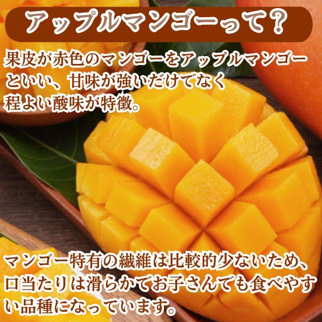 冷凍マンゴー 10kg（500g×20袋）業務用 カット済み アップルマンゴー 冷凍フルーツ 冷凍 マンゴー 砂糖不使用 無添加 お菓子作り スムージー 送料無料