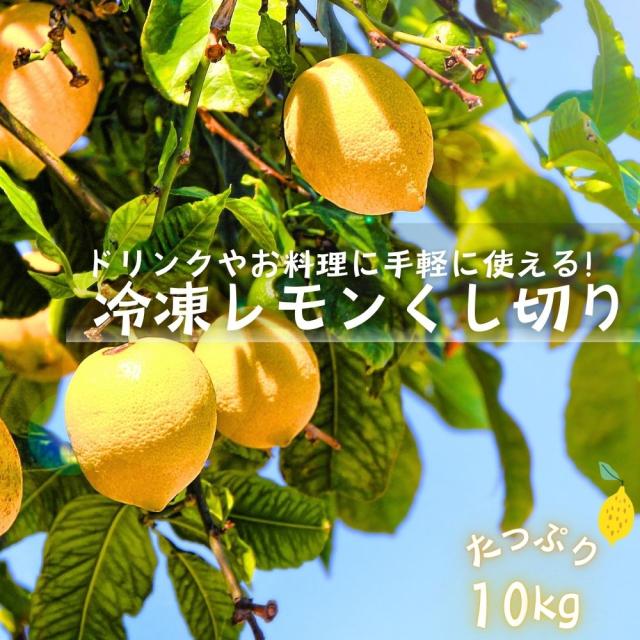 レモン くし切り 冷凍 10kg（500g×20袋）フルーツ レモンサワー レモネード レモンティー 業務用 ホットレモン バラ凍結 トッピング 冷凍フルーツ 送料無料
