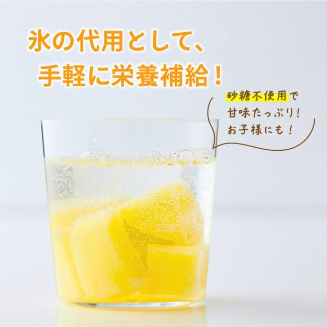 パイナップル 10kg (500g×20袋) 冷凍フルーツ 冷凍 砂糖不使用 添加物不使用 カット済 業務用 スムージー トロピカルフルーツ カットパイン パイン 送料無料_4