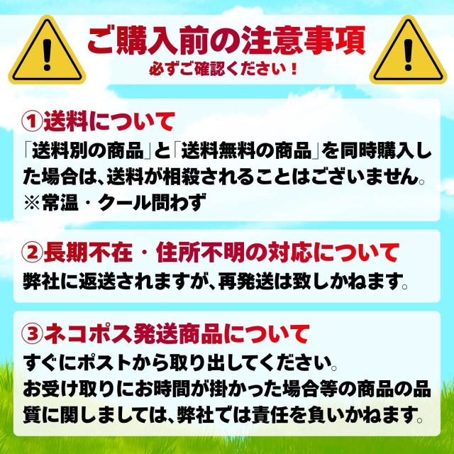 パイナップル 10kg (500g×20袋) 冷凍フルーツ 冷凍 砂糖不使用 添加物不使用 カット済 業務用 スムージー トロピカルフルーツ カットパイン パイン 送料無料_11