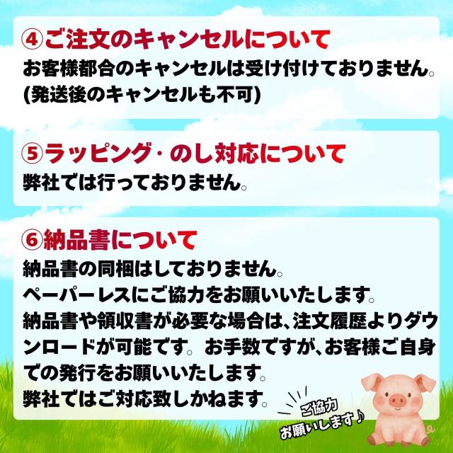 パイナップル 10kg (500g×20袋) 冷凍フルーツ 冷凍 砂糖不使用 添加物不使用 カット済 業務用 スムージー トロピカルフルーツ カットパイン パイン 送料無料_12
