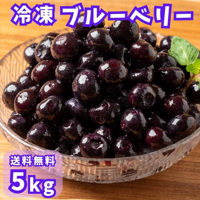 ブルーベリー 5kg（500g×10袋）フルーツ VeryBerry 冷凍 冷凍フルーツ 業務用 大容量 砂糖不使用 冷凍ブルーベリー お菓子づくり スムージー 送料無料