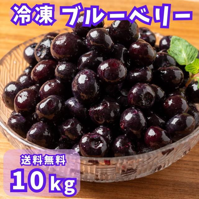 ブルーベリー 10kg（500g×20袋）フルーツ VeryBerry 冷凍 冷凍フルーツ 業務用 大容量 砂糖不使用 冷凍ブルーベリー お菓子づくり スムージー 送料無料