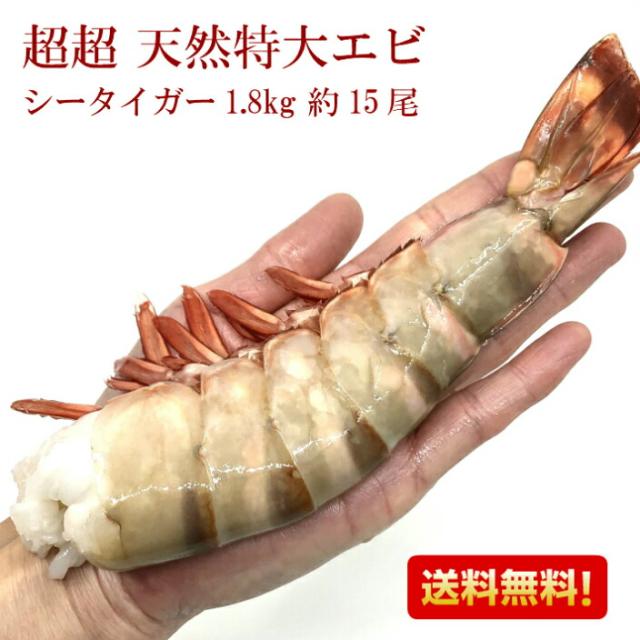 超特大天然えび シータイガー 1.8kg 約15尾 送料無料 海老 天然 ブラックタイガー 殻付きエビ 3/4サイズエビフライ 海老フライ