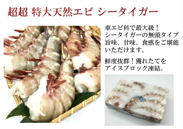 超特大天然えび シータイガー 1.8kg 約15尾 送料無料 海老 天然 ブラックタイガー 殻付きエビ 3/4サイズエビフライ 海老フライ_4