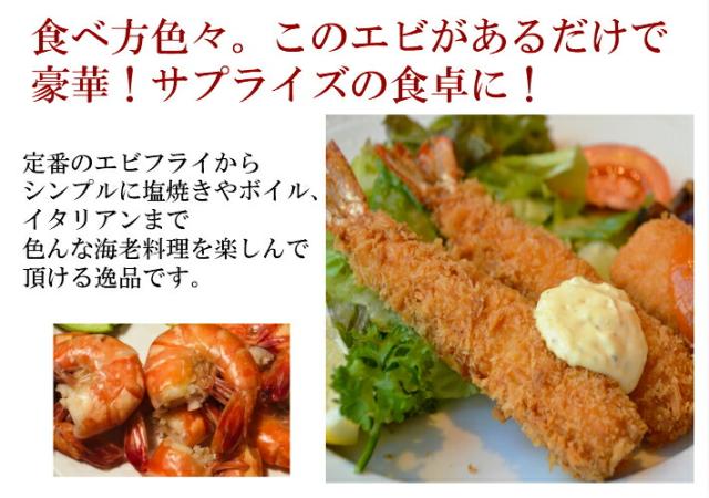 超特大天然えび シータイガー 1.8kg 約15尾 送料無料 海老 天然 ブラックタイガー 殻付きエビ 3/4サイズエビフライ 海老フライ_5