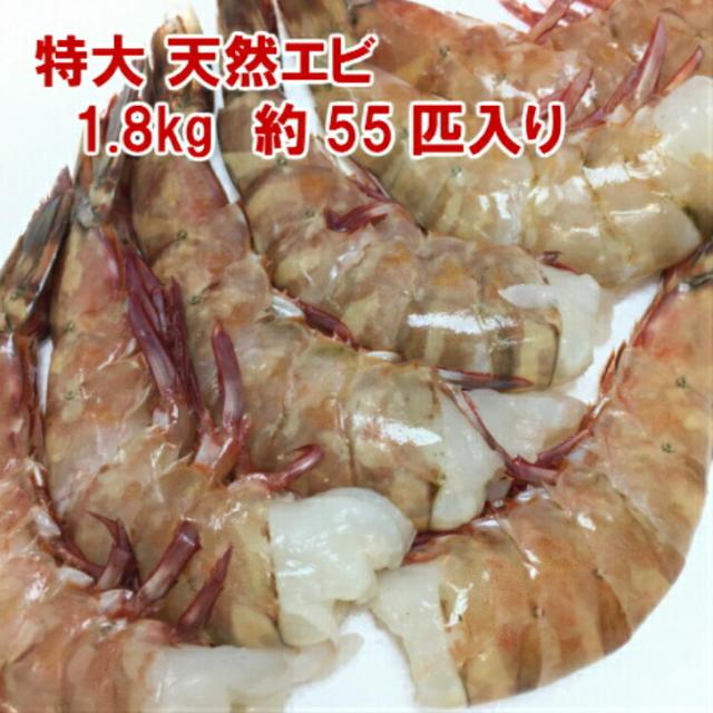 海老冷凍  特大 天然エビ  1.8kg/約55尾 フラワーエビ 冷凍エビ お歳暮 ギフト  お歳暮  海老フライ  殻付きエビ 海老 特大 送料無料 無頭エビ 冷凍食品  バーベキュー エビフライ 冷凍エビ ギフト ブラックタイガーより高価