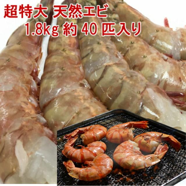 天然フラワーエビ 特特大 1.8kg（約40尾）冷凍えび 殻付きエビ 送料無料 エビフライ・BBQ用 えび天ぷら エビチリ 天然海老 えび エビ 海老 ギフト 業務用 特大エビ 大きいエビ