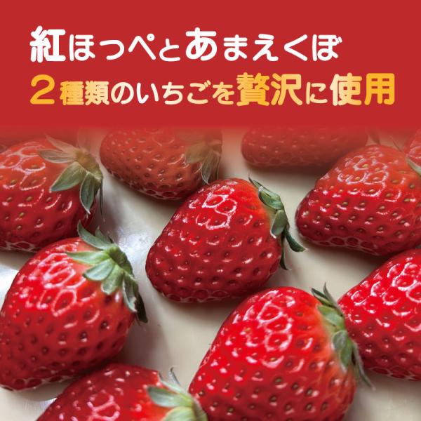 紅ほっぺ あまえくぼ いちごジェラート 12個 食べ比べ 国産 いちご フルーツアイス 夏ギフト 冷凍