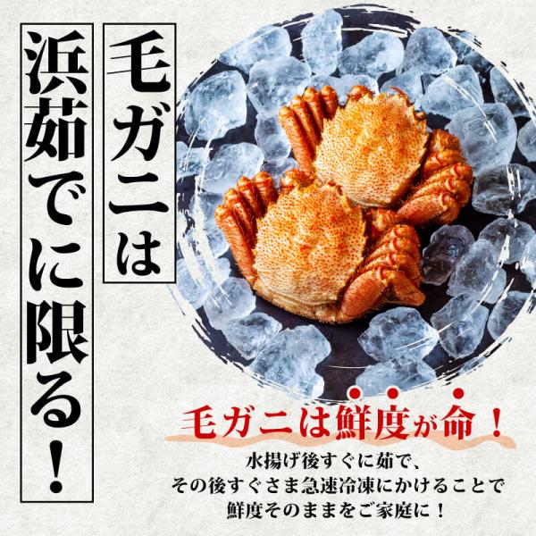 かに 蟹 毛ガニ 北海道 350g 前後 6尾 ボイル済 お取り寄せ ギフト 通販 冷凍 送料無料 プレゼント お祝い_2